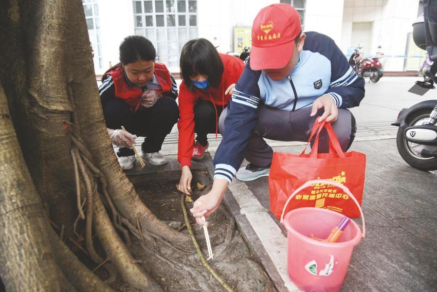 “随手做”日常易上手 志愿者干劲足收获多