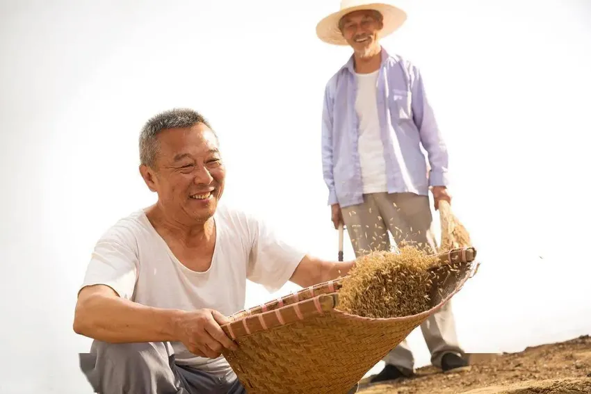 古人云，过午不食，医生提醒不值得学习