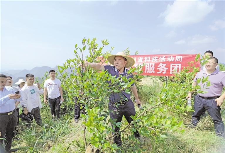 共圆小康梦 同赴新征程