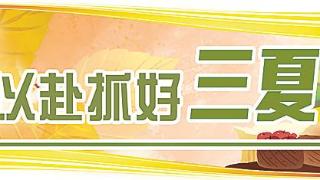 紧锣密鼓战“三夏”保丰收