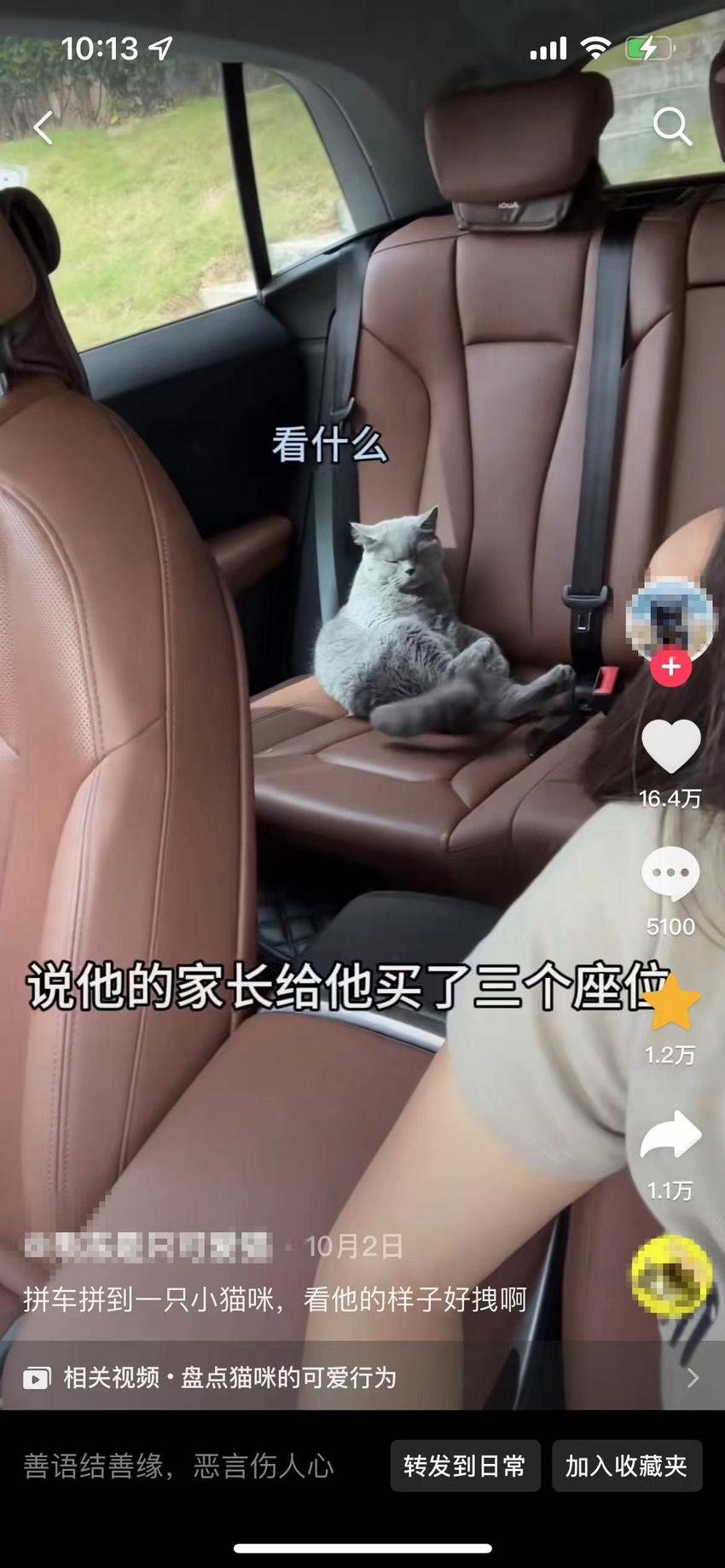 顺风车乱象：起猛了，拼车拼到狗子