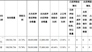 理工能科控股股东天一世纪拟减持 所持49%股份已质押