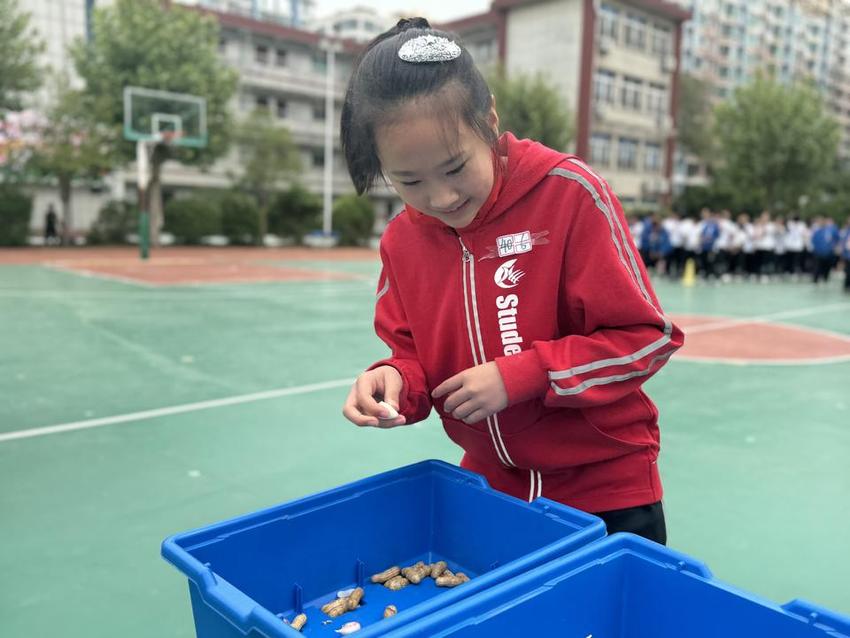 学劳模精神，做劳动能手——济南市燕柳小学劳动周系列活动