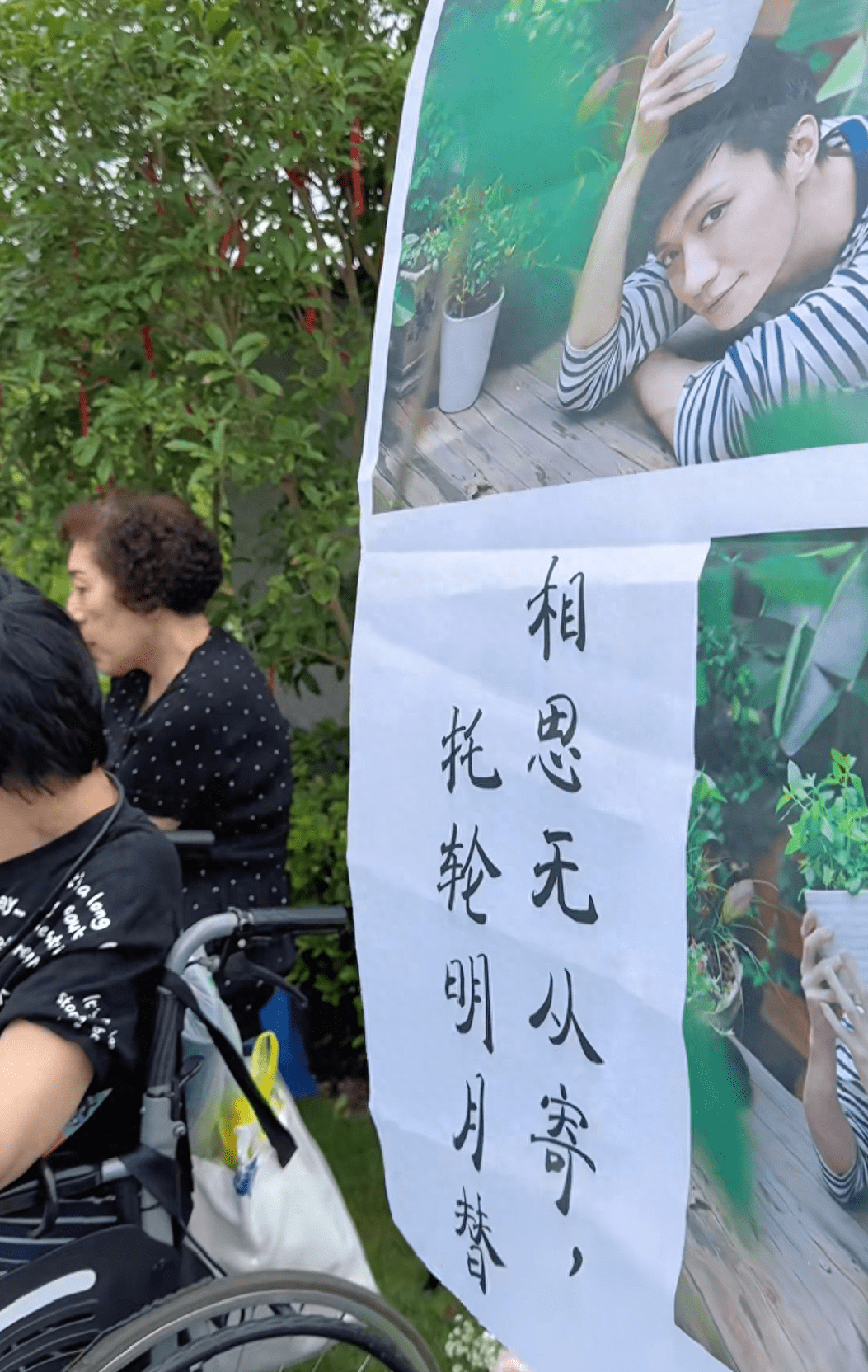 乔任梁去世7年，陈乔恩现身墓地祭拜，跟乔妈牵手热聊宛如母女