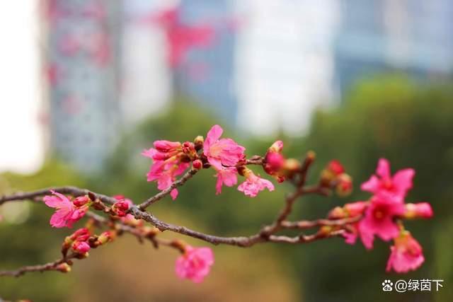 不管你有多少存款，也别做这种事，避免晚景凄凉