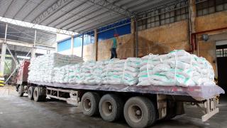 截止3月底广西产糖610万吨 同比增83.72万吨