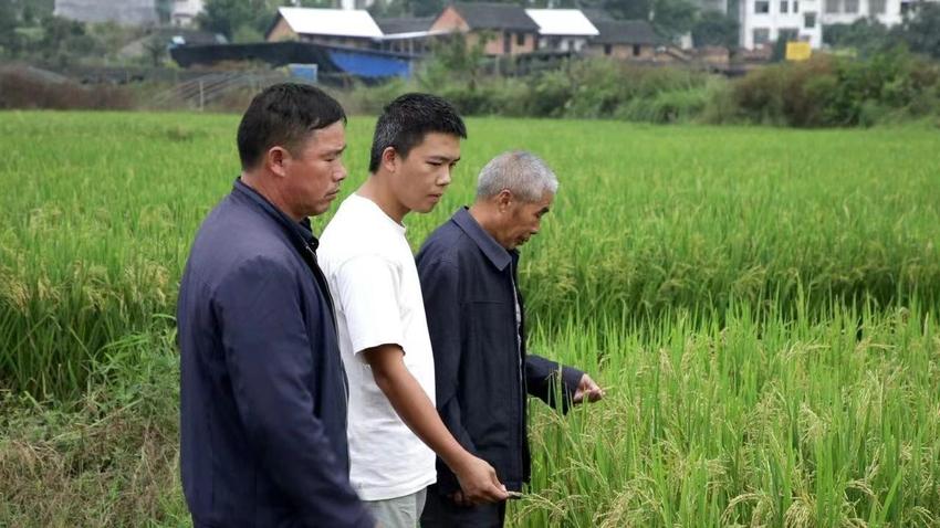 郴州种粮大户骆元波：我在家门口种水稻