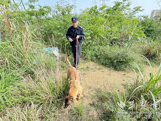 25年“不抓贼、不巡逻”，黄石这名警察专职训练“汪汪队”