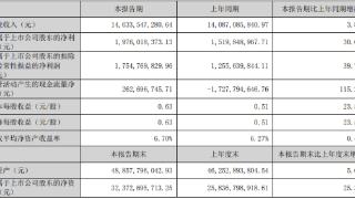 大华股份H1营收增4%净利增3成 计提资产减值准备2.4亿