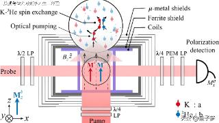 研究团队开发出将噪声抑制两个数量级的原子共磁计