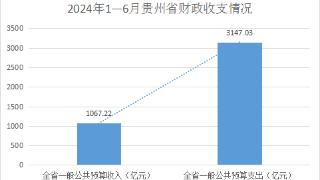 今年1至6月贵州一般公共预算收入累计完成1067.22亿元