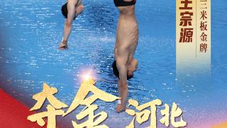 河北第2金！河北运动员龙道一携手国家队队友摘得跳水男子双人3米板金牌