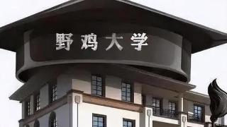 多以“中国”为前缀，“野鸡大学”有多野？