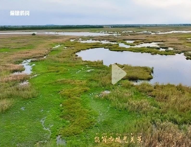 鹤岗·哲学与生态学专家谈《大地之眼》——跨界跨学科研讨之一