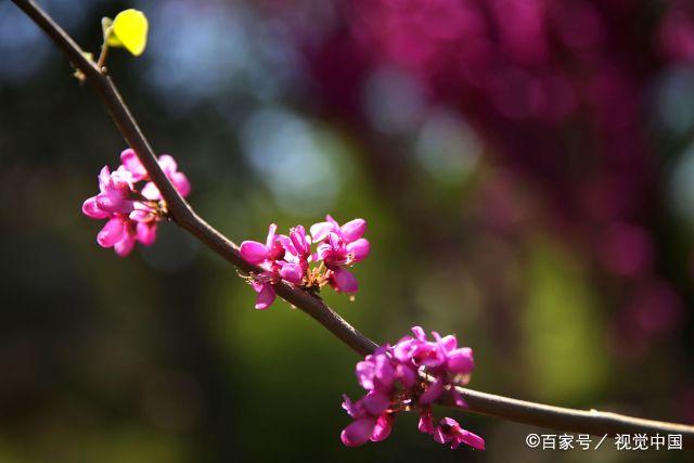 夫妻之间最好的相处方式，就是做到“三不碰”