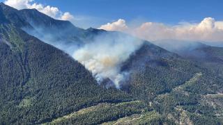 加拿大山火烧毁面积达1000万公顷，超过此前最悲观预测