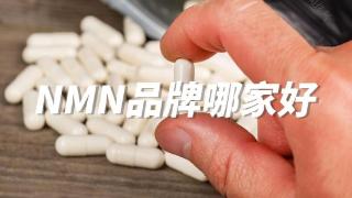 精选NMN品牌哪个好：五大巨头引领行业方向，新兴势力并起争锋