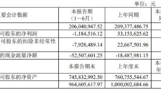 容知日新上半年转亏 正拟定增募资2021年上市募2.5亿