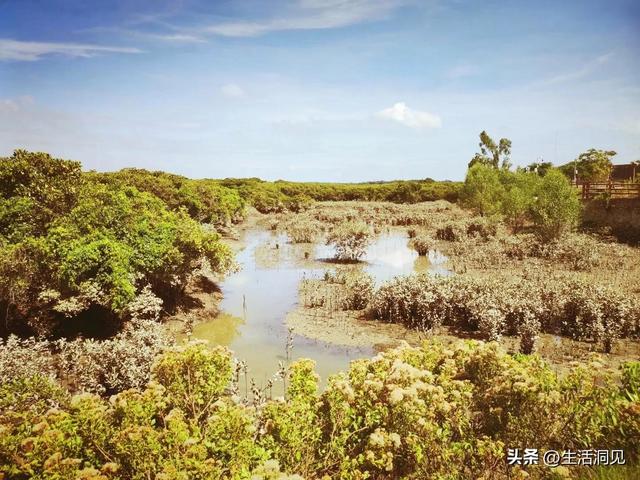 相亲时，若对方有这三种表现，暗示可能“没戏”