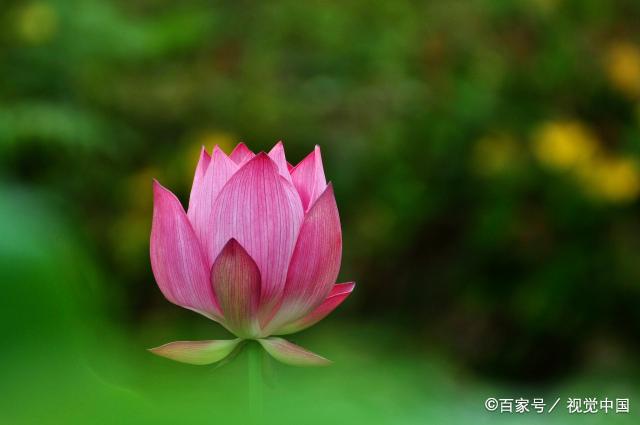 判断一个男人到底是“玩玩”，还是真爱，看三处细节