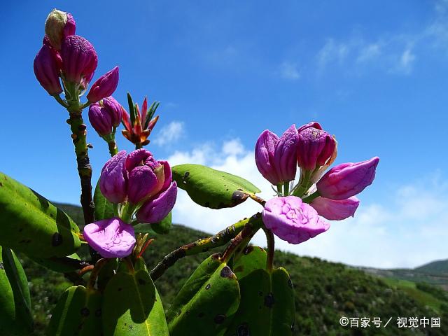 在婚姻里，有两类男人，晚年大多过得不好，没啥好结果