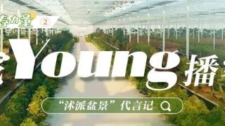 “花Young”播客：“沭派盆景”代言记