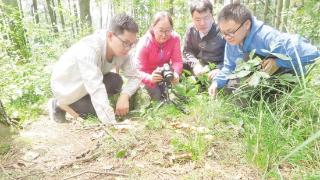 杨彝华：把野生食药用菌培育成贵州食用菌产业新兴增长极