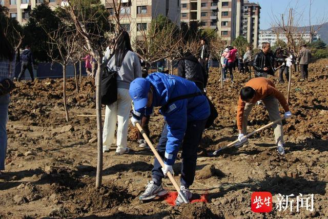 南京玄武环境集团组织“整点小树”植树活动