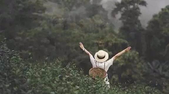 百岁老人长寿的秘诀，遗传因素排最后，排在首位的很多人做不到