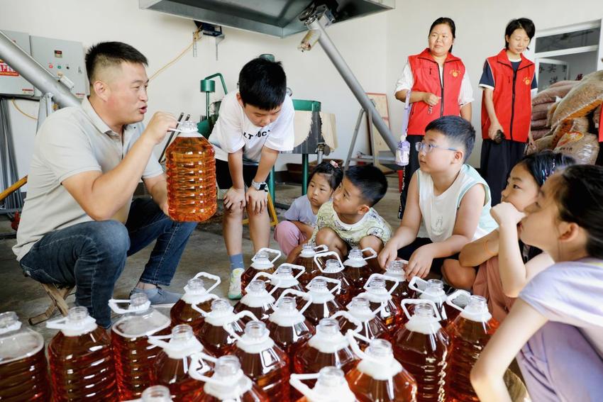 河北肃宁：研学实践让学子乐享夏日学习之旅