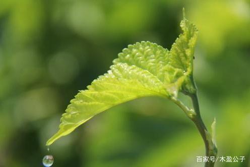 一个人女人有了下面这三个“迹象”之后，想不越来越好都难