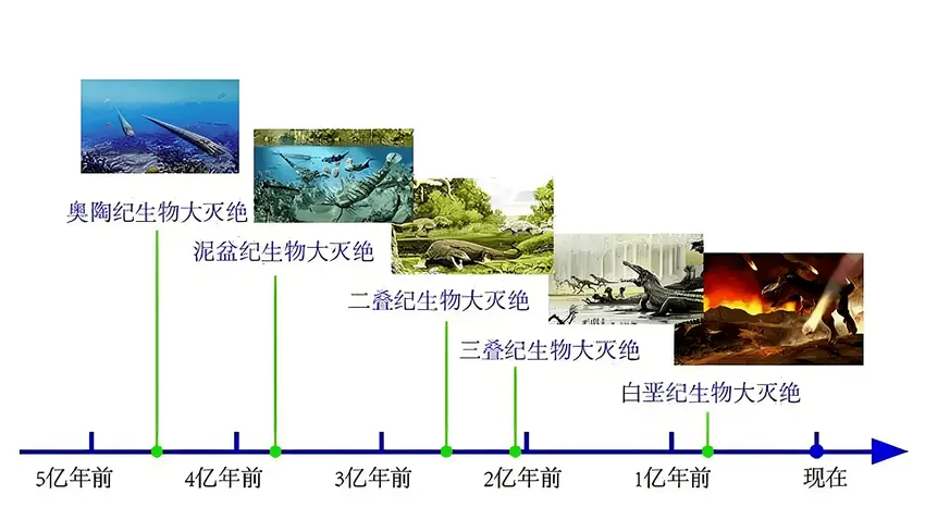 假如人类全部灭亡了，数亿年后地球上会不会再次进化出人类？