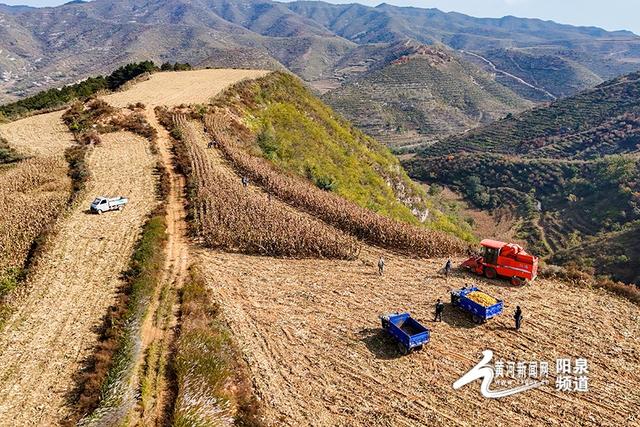 平定县西头岭村：农业机械化托管助农增收