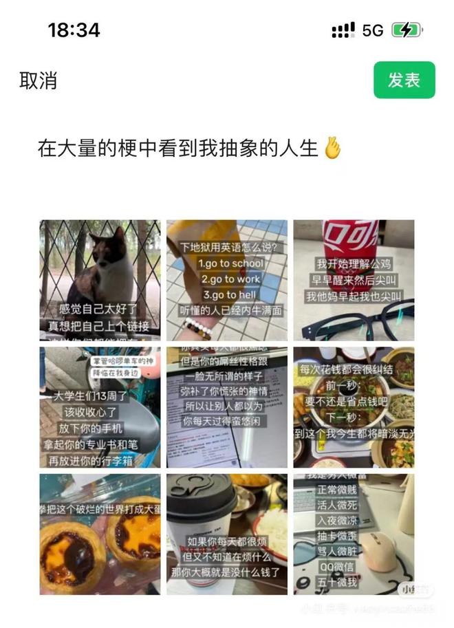 贝微微你也这样吗：告别理想幻影，抵达真实青春