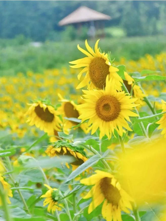 天眼早新闻 7月14日