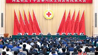 河北省红十字会第六次全省会员代表大会召开
