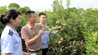 湖南：税惠“春雨”滋润小微企业发展成长