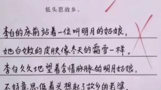 学生作文《男女差异》走红，老师不得已给满分：你才小学，懂太多