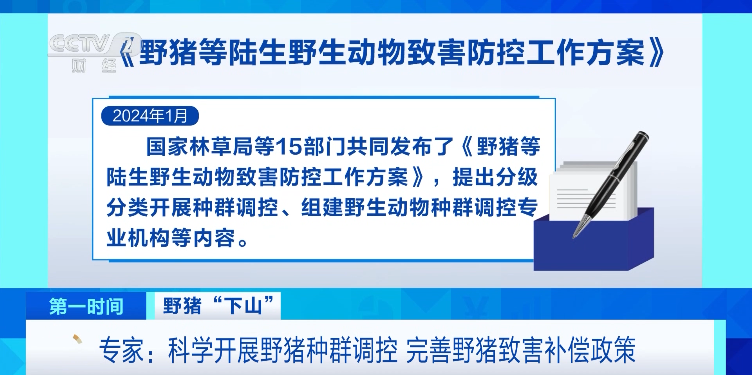 野猪晚高峰闯入地铁隧道？官方回应来了！