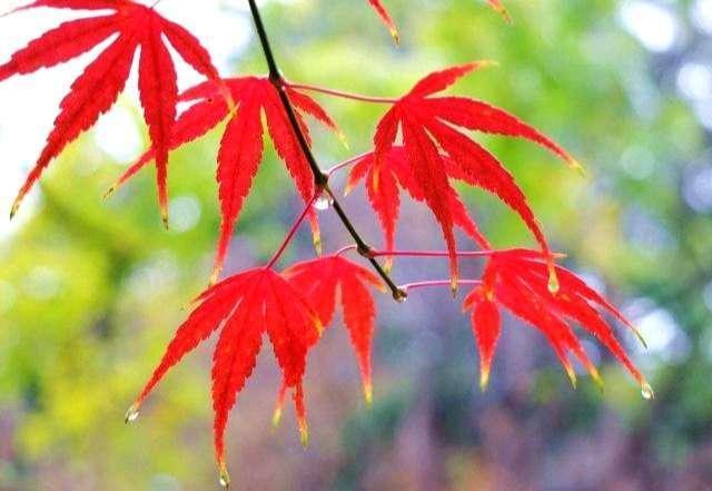 人生的这三场凄风苦雨熬过去，你就赢了