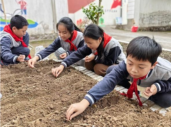 药王传中医医院：中药材进校园，传承中医文化