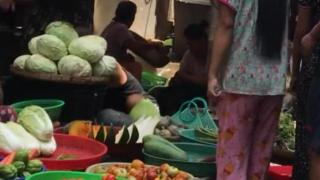 缅甸种植第二多的菜，曾经用来喂牛，今年一颗卖到8000缅币