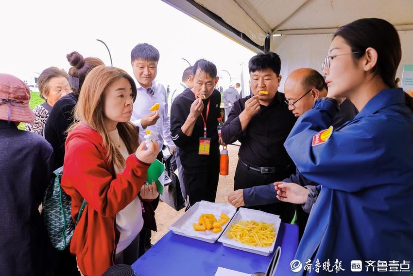 接地气！将展会办在田间地头！第十三届中国国际薯博会来了