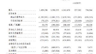 正力新能IPO：“亏本换市场”，获资本突击入股