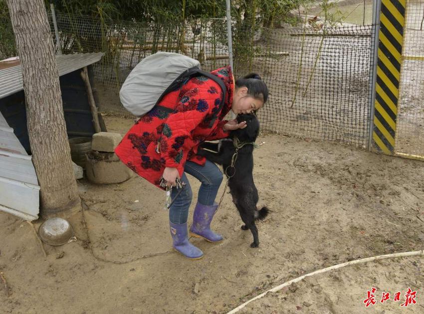 春到农家乐