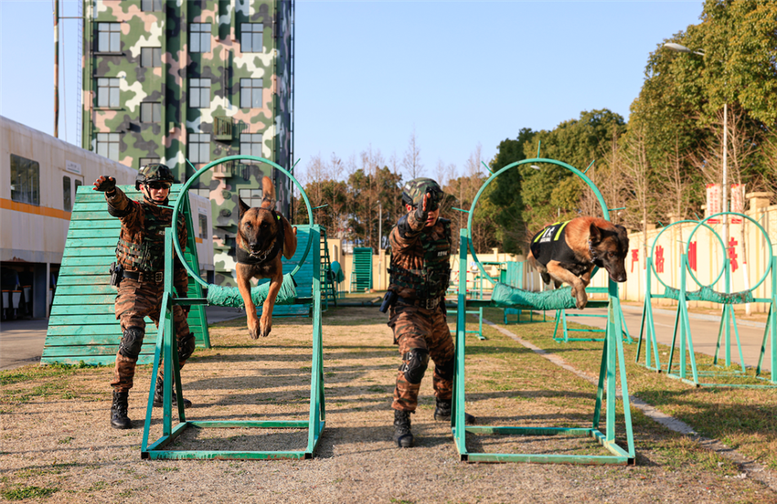 2023，热血开训！武警上海总队新年度训练画面震撼