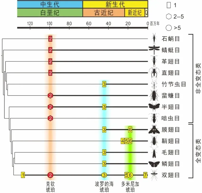 慎入！一亿年前的寄生虫，保存到现在是啥样？