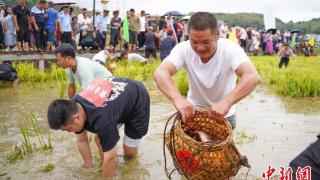 乡约福建：建宁稻田擂鼓庆丰收