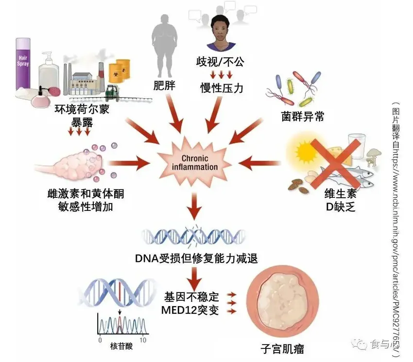 为什么大部分女性都会出现子宫肌瘤，能预防改善吗