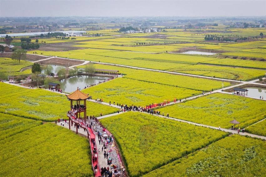 湖北乡村休闲游持续火爆，3条线路入选全国乡村旅游精品线路